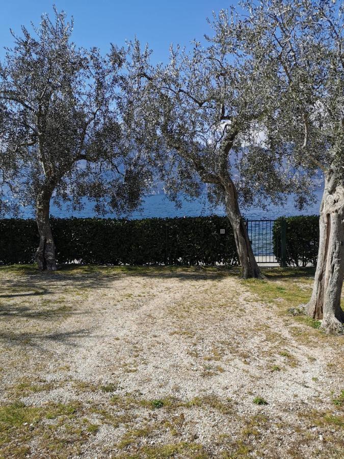 Camping Baldo Brenzone sul Garda Dış mekan fotoğraf