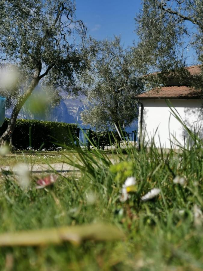 Camping Baldo Brenzone sul Garda Dış mekan fotoğraf