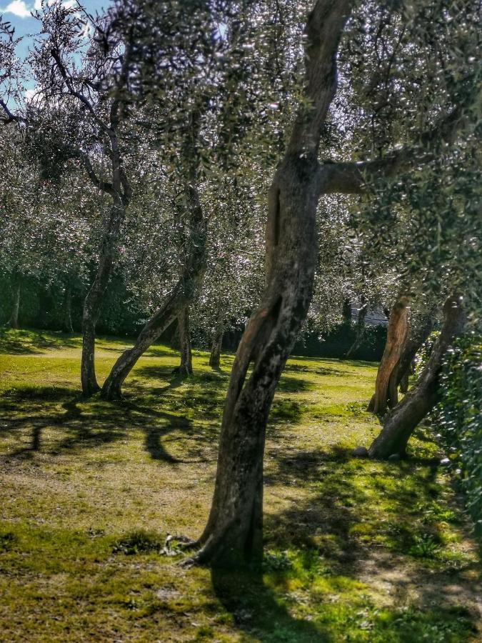 Camping Baldo Brenzone sul Garda Dış mekan fotoğraf