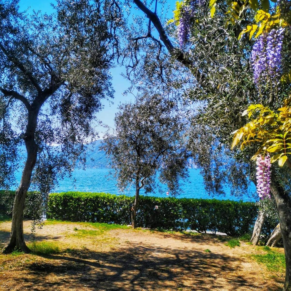Camping Baldo Brenzone sul Garda Dış mekan fotoğraf